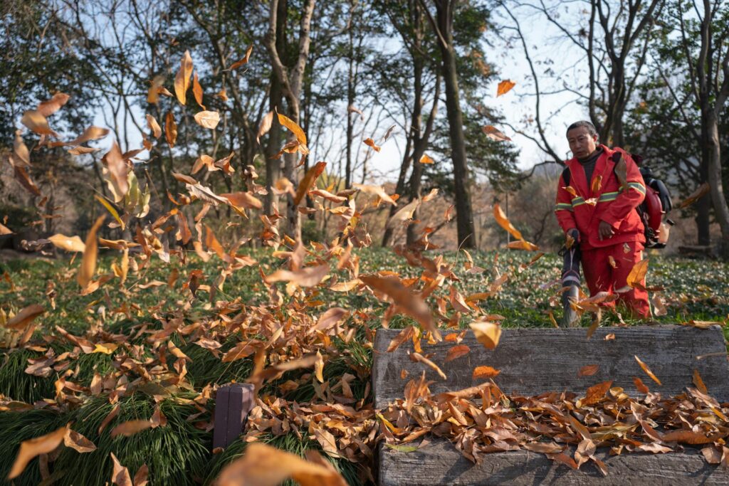 Man Blowing Autumn Leaves at Park